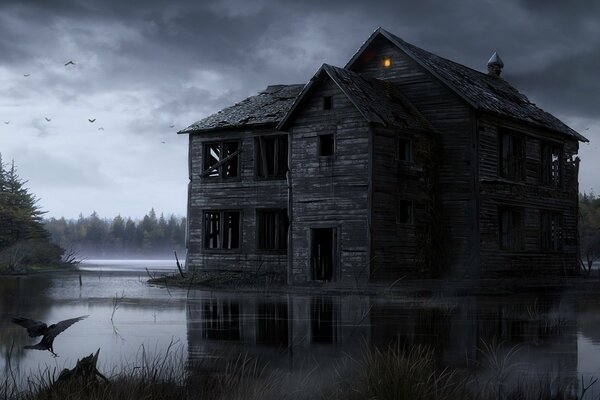 House swamp crow darkness light