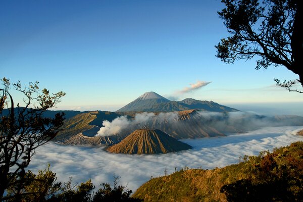 Mountain volcano in the fog with trees