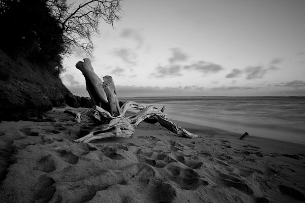 Schwarz-Weiß-Strandbild