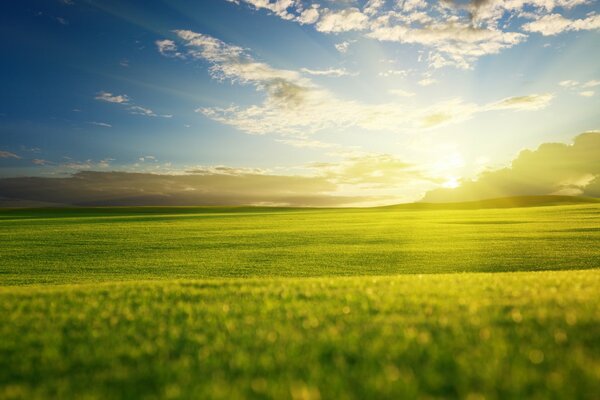 Зеленый пейзаж в лучах солнца