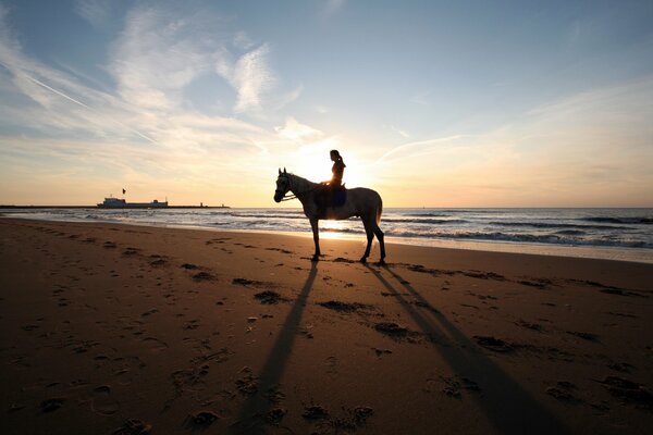 A horse and a girl combine both femininity and courage