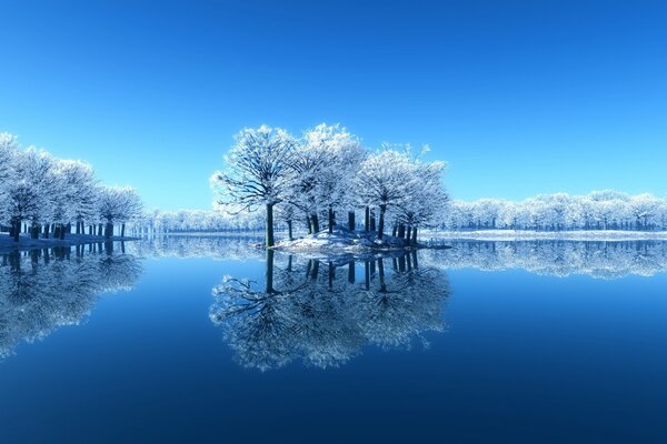 Mirror image on the surface of the lake