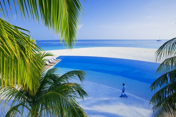 Paradiso sul mare sotto le palme