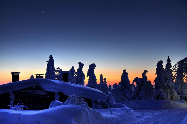 Frosty winter in blue tones