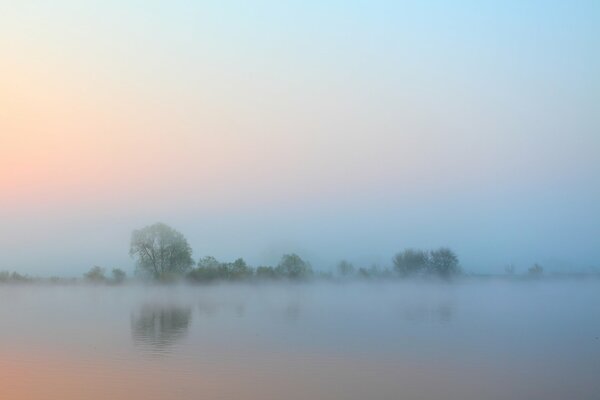 Brouillard sur la rivière le matin. Arbres à l horizon