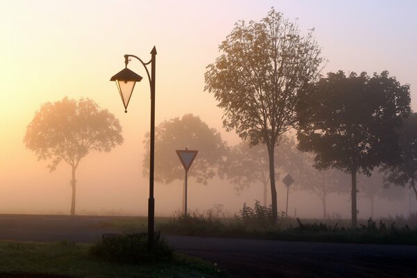 Brouillard sur la route tôt le matin