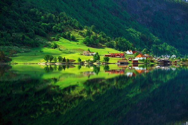 A bright village among green fields