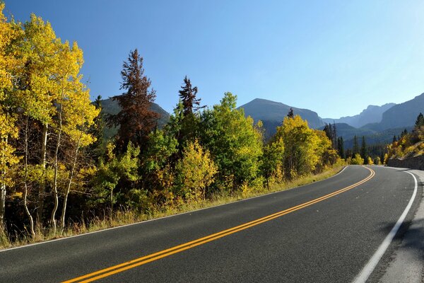 Route sans fin à l automne près de la forêt