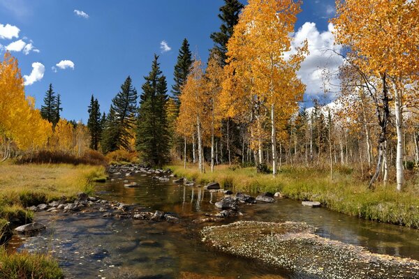 Paisaje de otoño con río y árboles