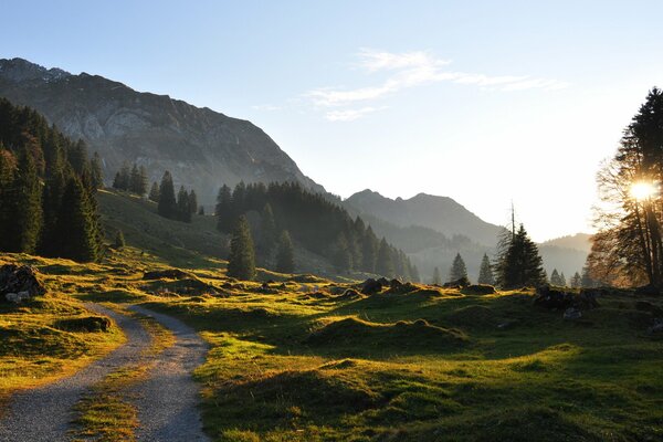 Feldweg in den Bergen am Nachmittag