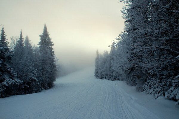 Ate in the fog on the road in winter