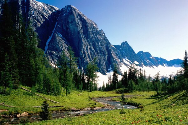 Mountains and trees look beautiful by the river