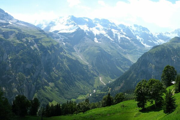 Incredibile paesaggio estivo in montagna