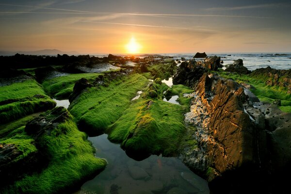 Grüne Felsen stehen im klaren Meer vor dem Hintergrund des Sonnenuntergangs