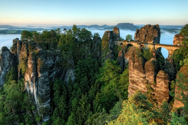 Pont ferroviaire dans les montagnes parmi les pins