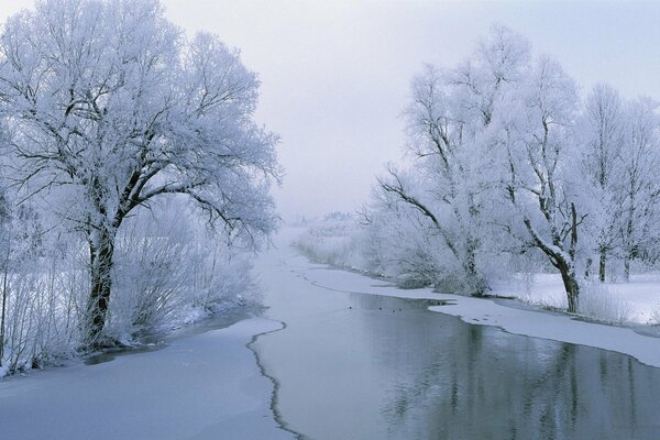 Winter landscape and running stream