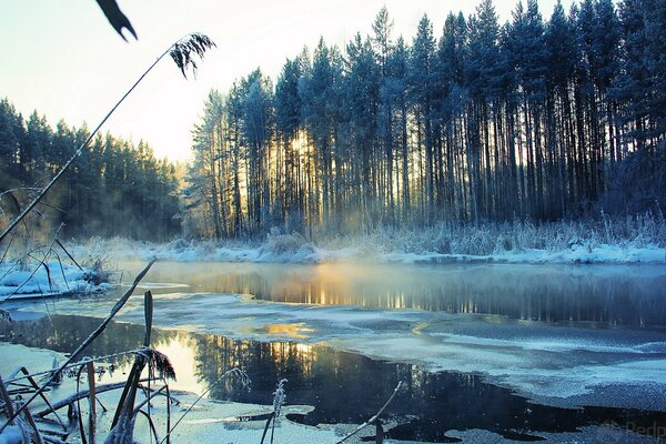 Landschaft mit einem schönen Fluss im Winter