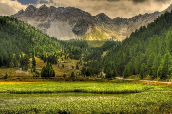 Landschaft der Natur mit Bergen und grünem Gras