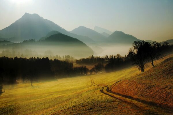 Hügel und Berge vor dem Hintergrund einer nebligen Lichtung