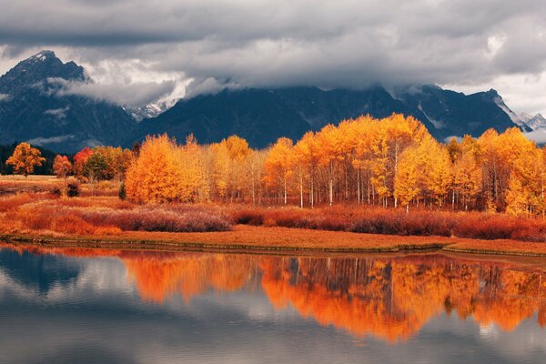 Oseniya foresta d oro sopra il lago