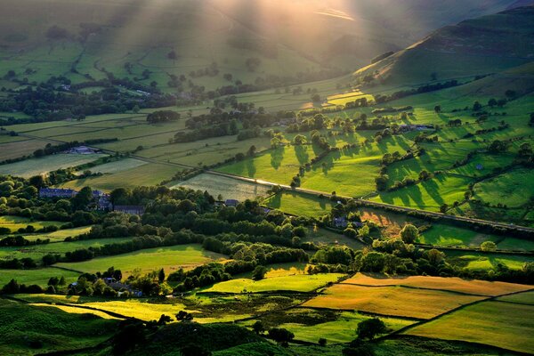 Vue de dessus de plaine de champ vert