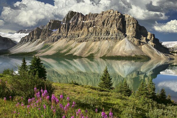 Nous voyons les champs sur la roche qui pousse du lac