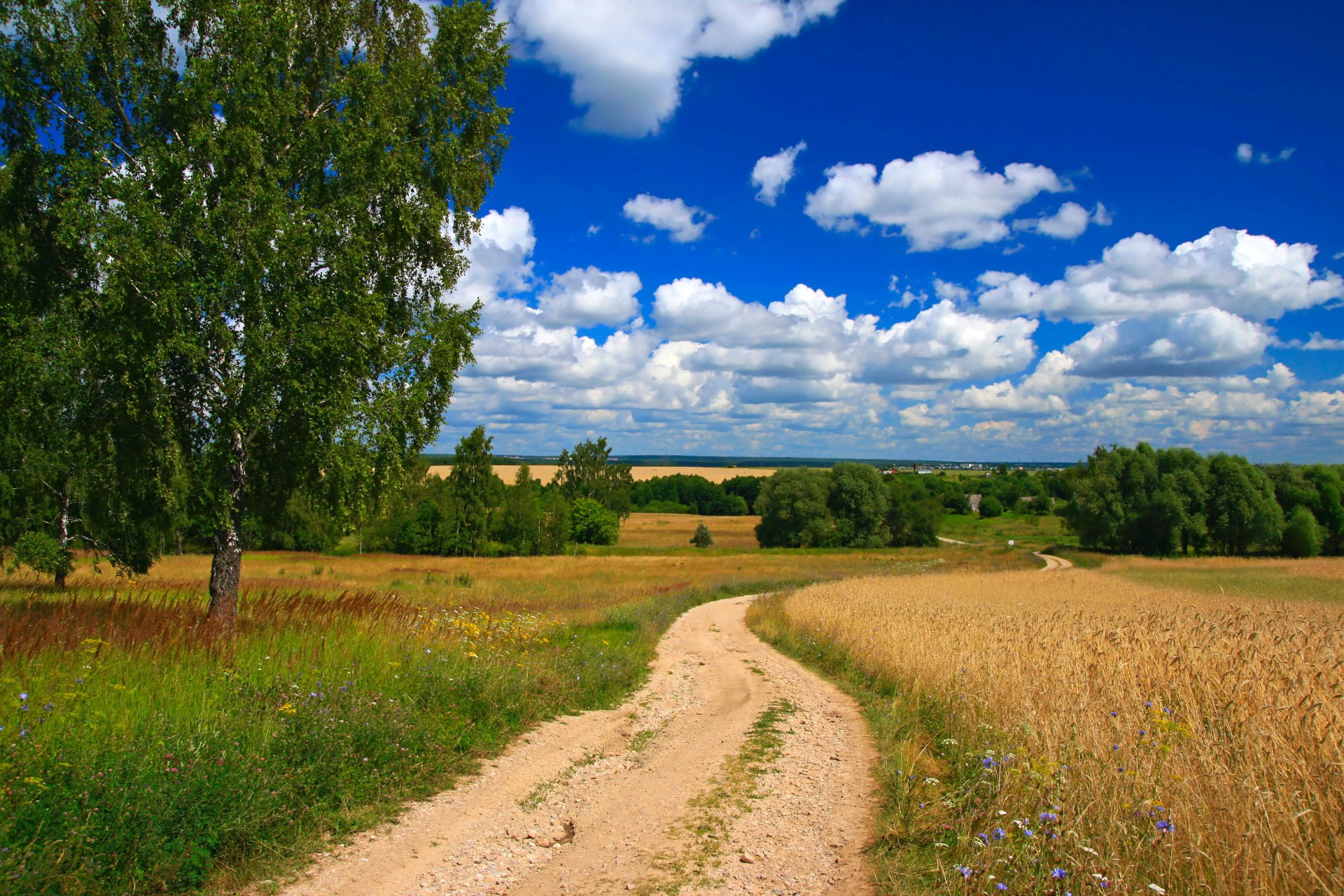 champ route arbres ciel nuages espace