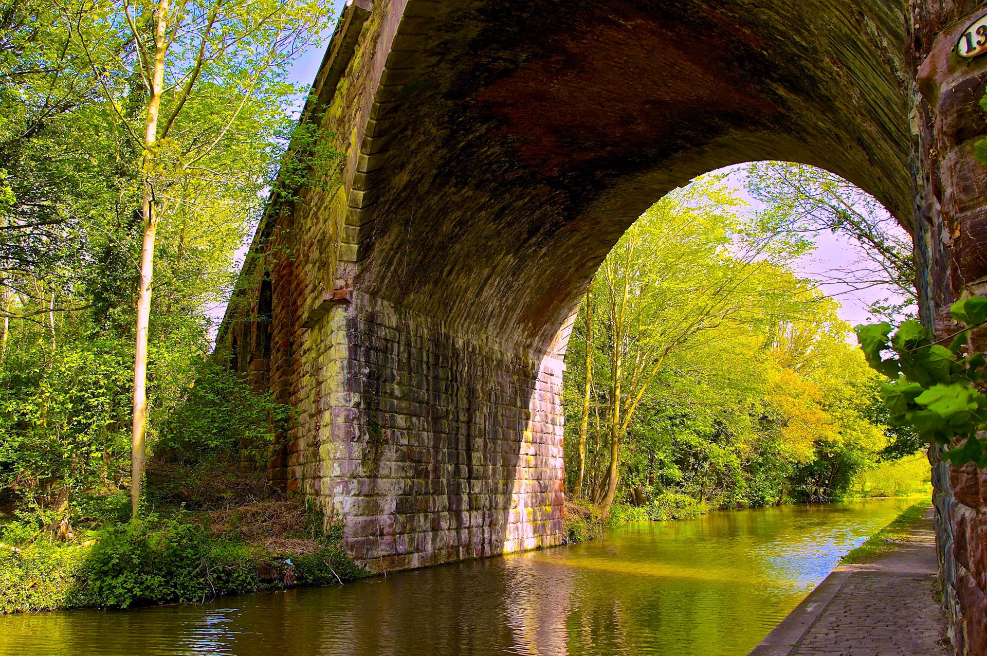 fiume ponte arco alberi