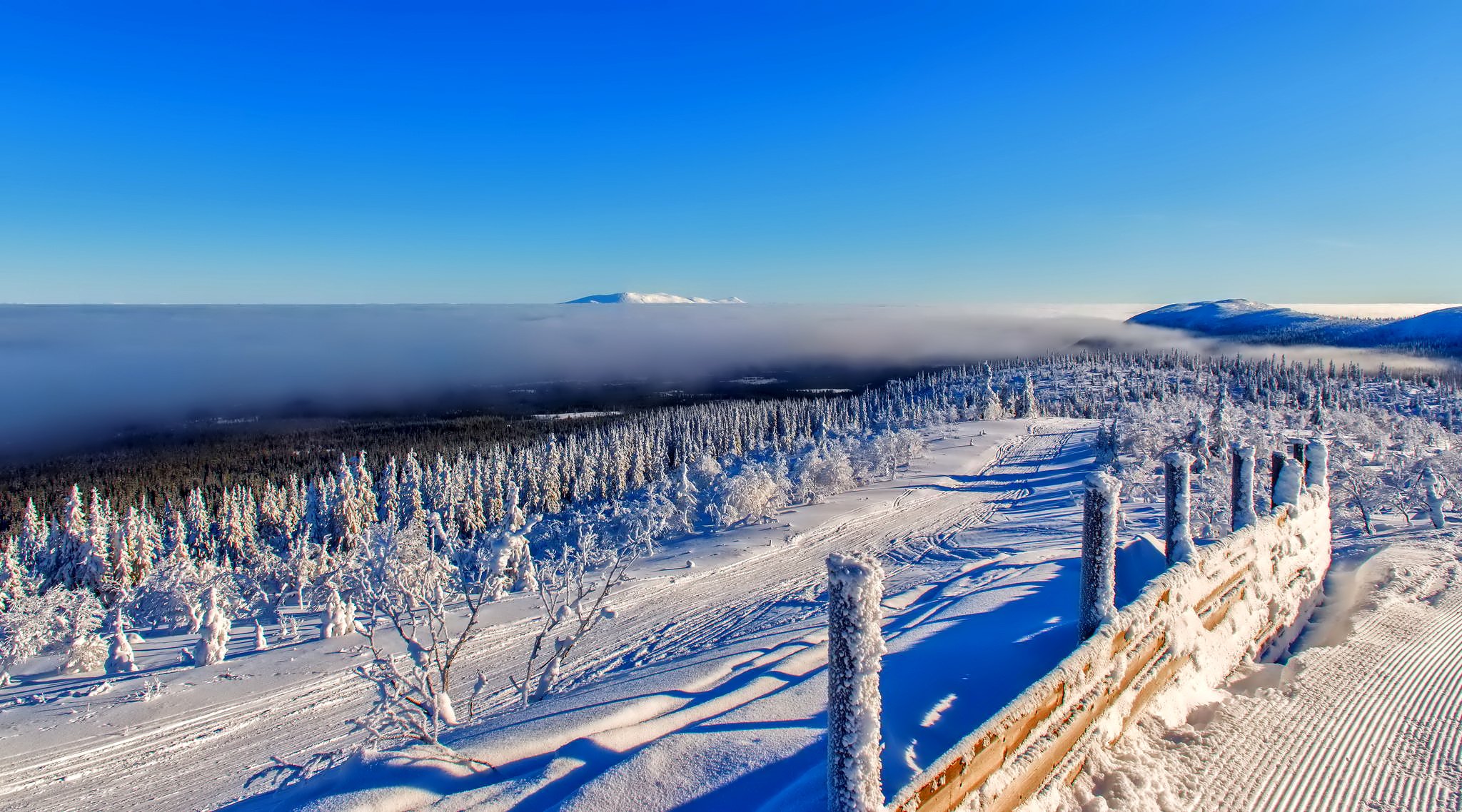 cielo montagne orizzonte inverno nuvole alberi foresta neve recinzione