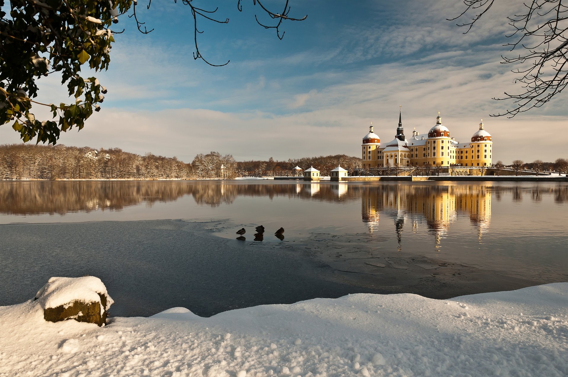 castello di moritzburg germania lago riflessione acqua inverno neve