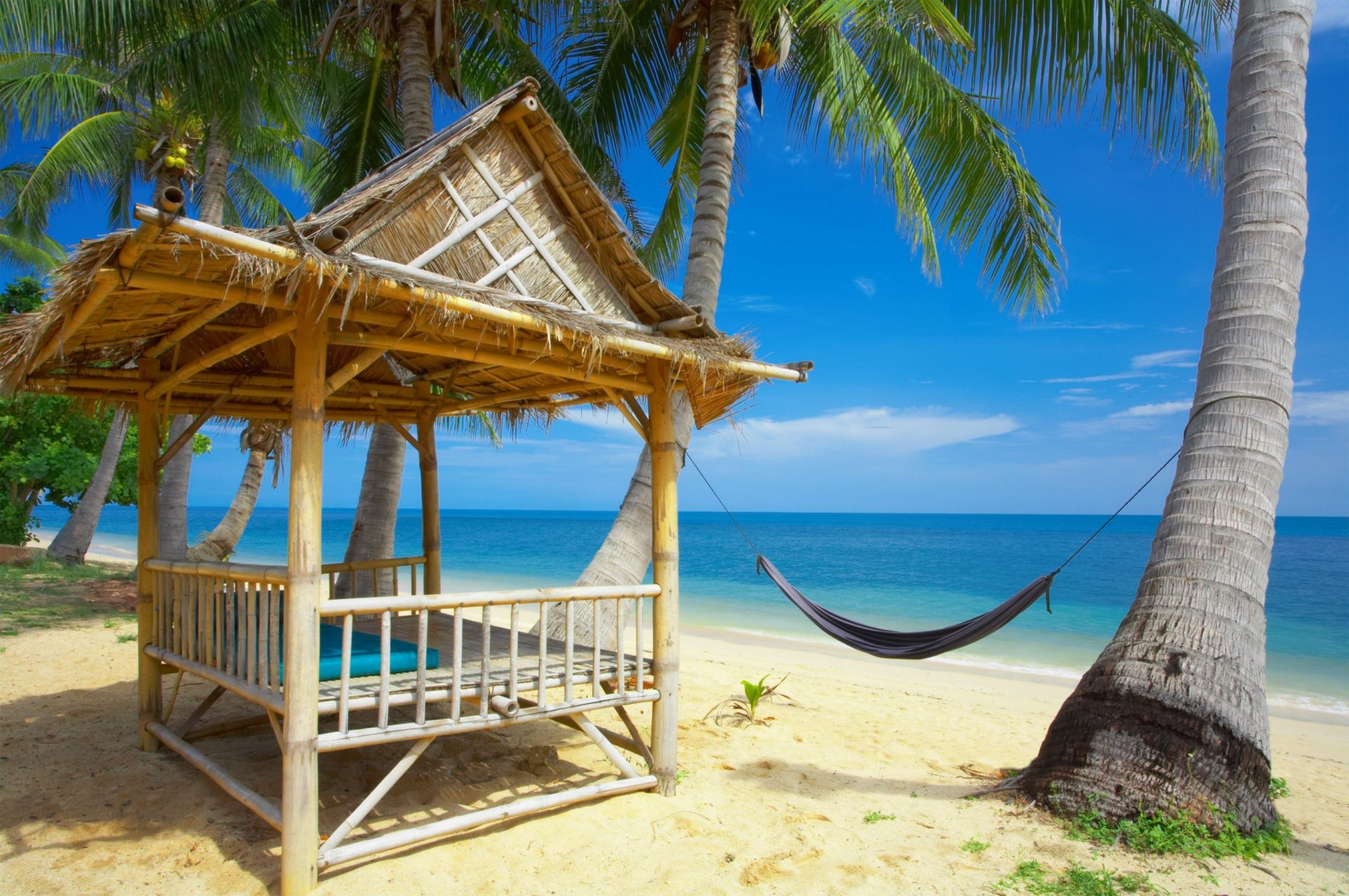 spiaggia sabbia palme amaca bungalow oceano cielo nuvole