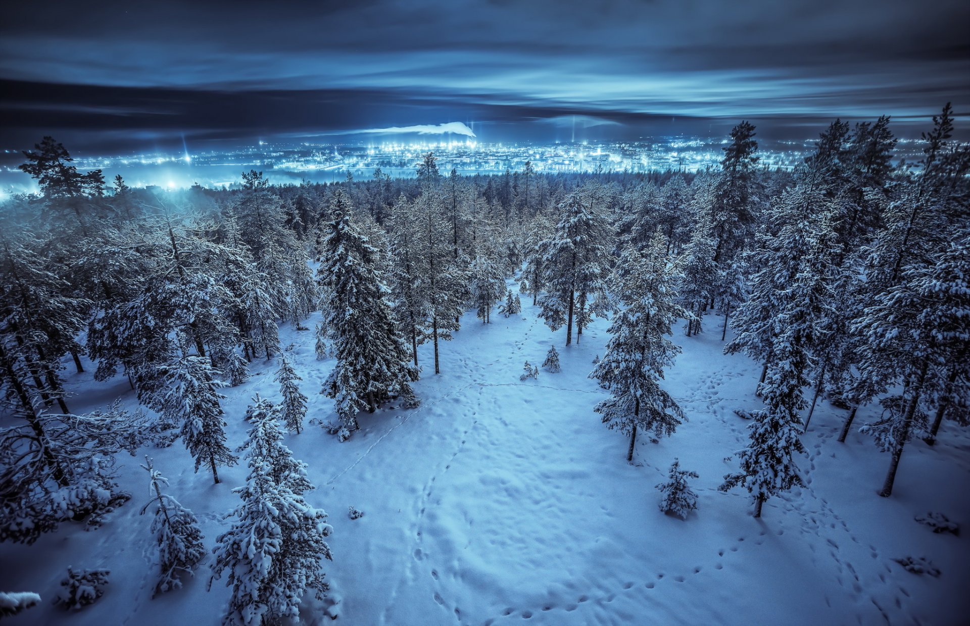 night winter forest town