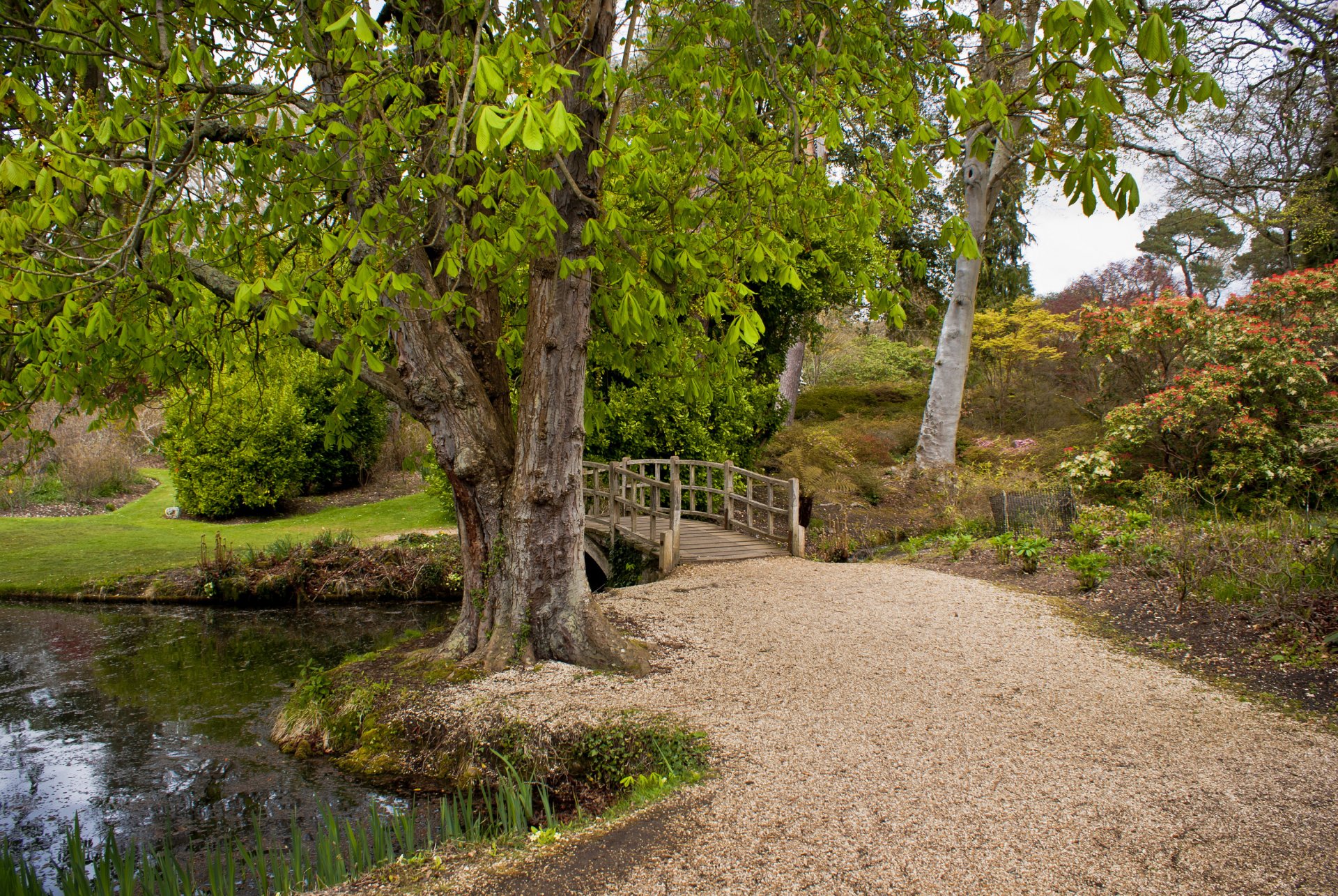 inghilterra ponte fiume exbury natura