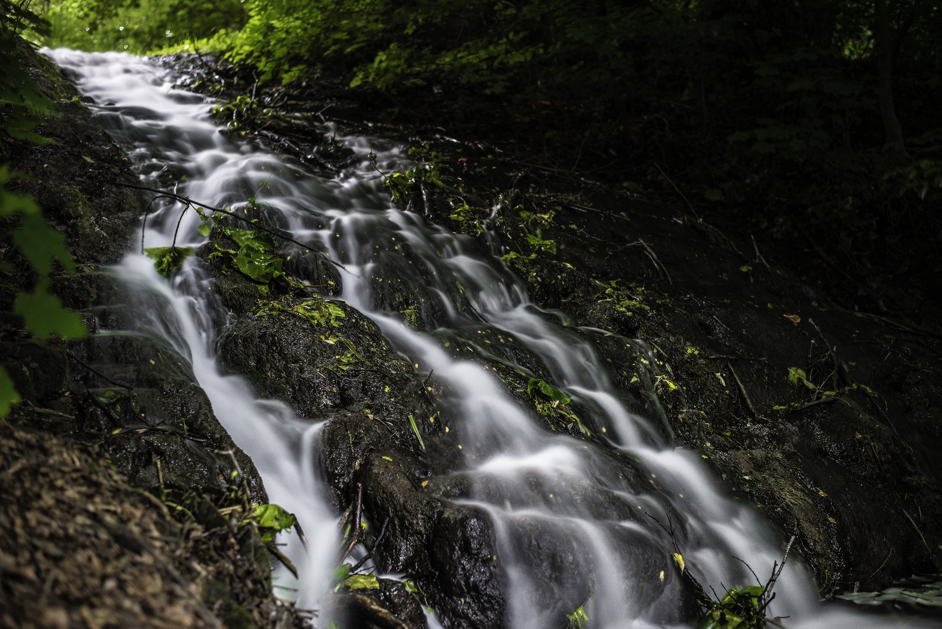 brook water feed spray grass leave