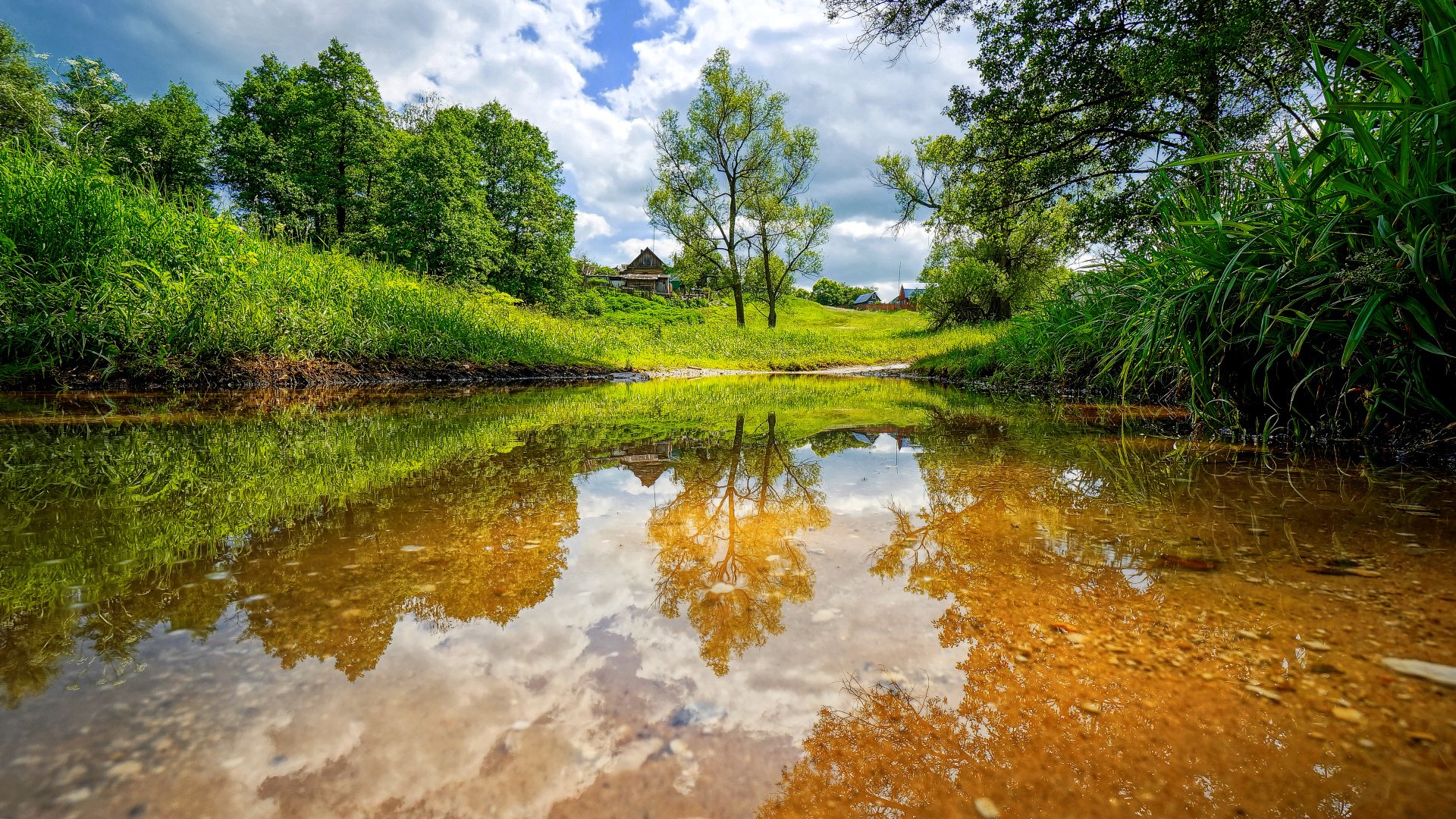 rivière été paysage