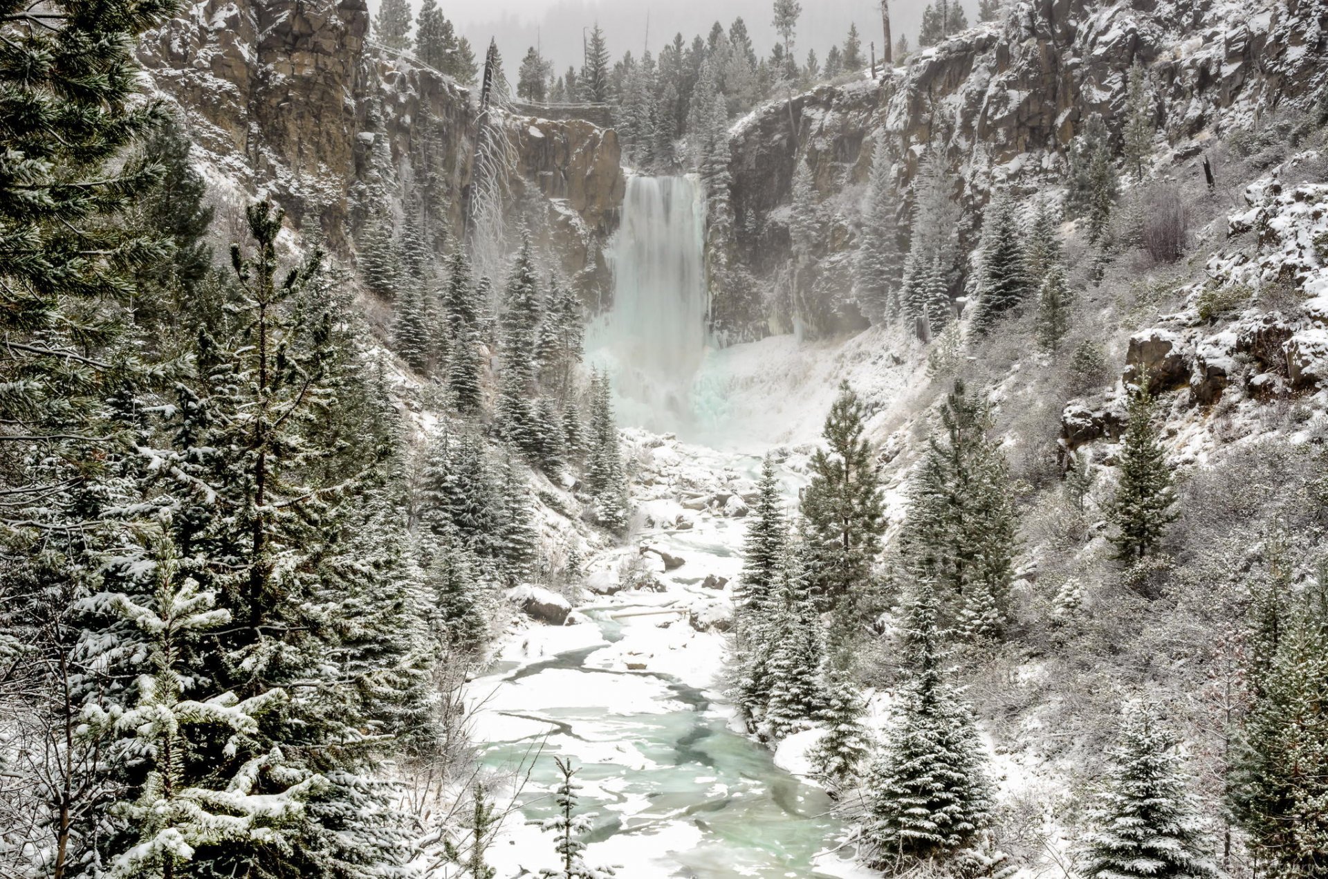 cascata inverno neve natura foresta