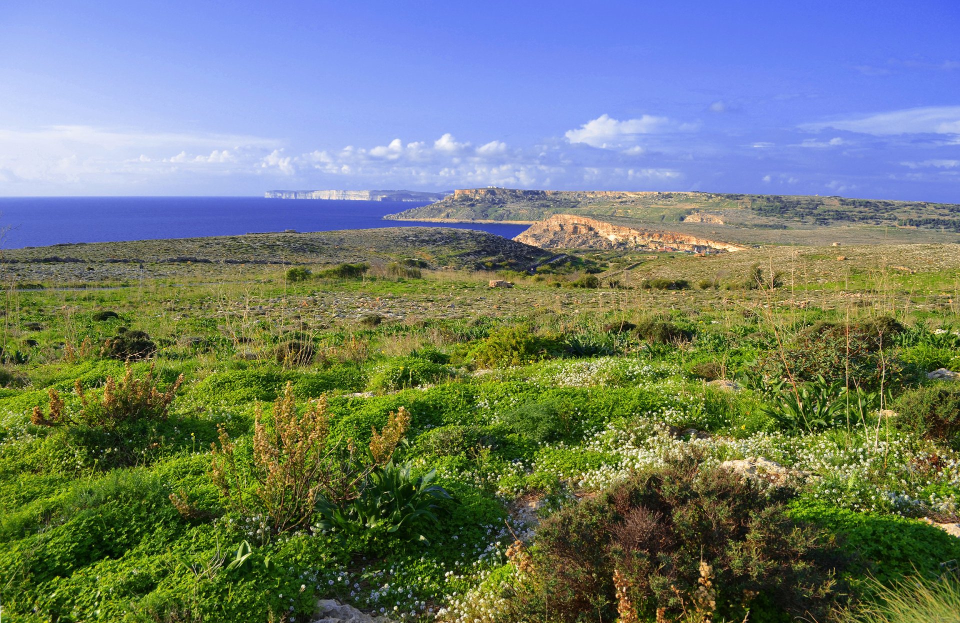 malta isola cielo nuvole fiori mare erba prato