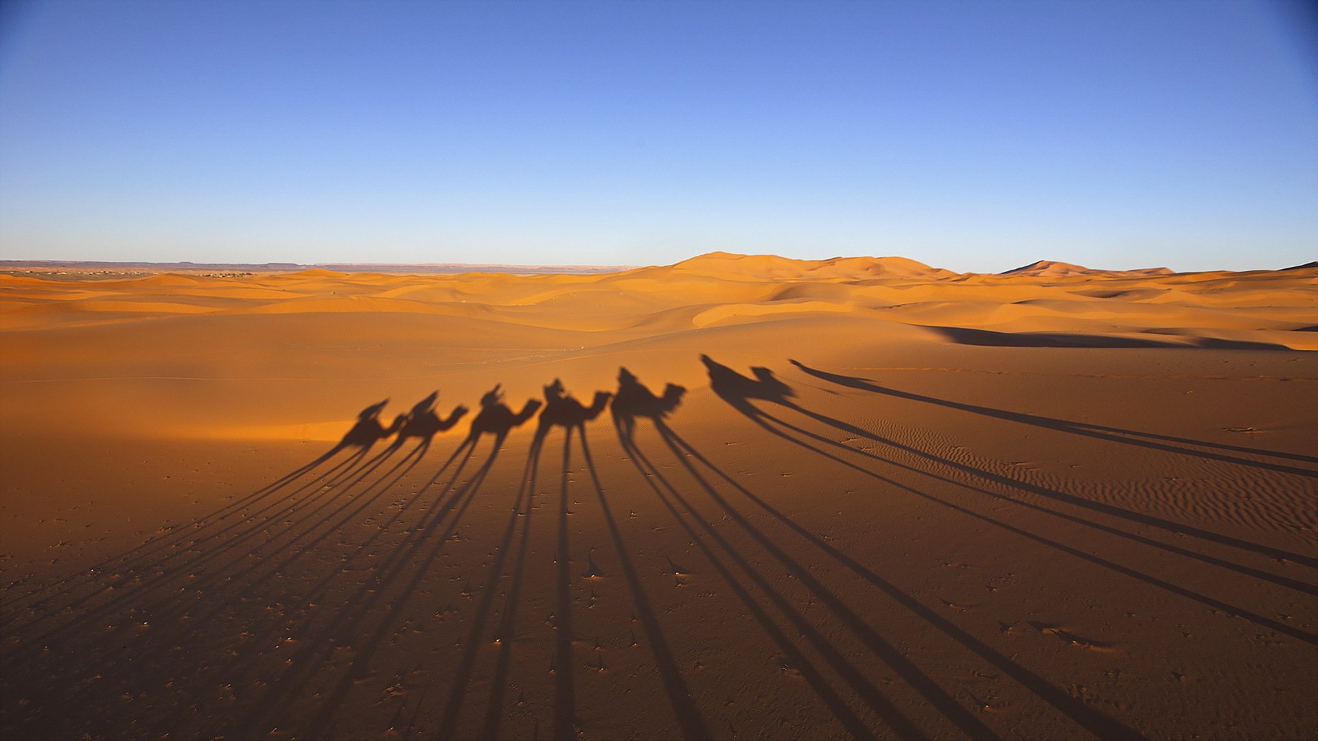 desierto caravana sombras