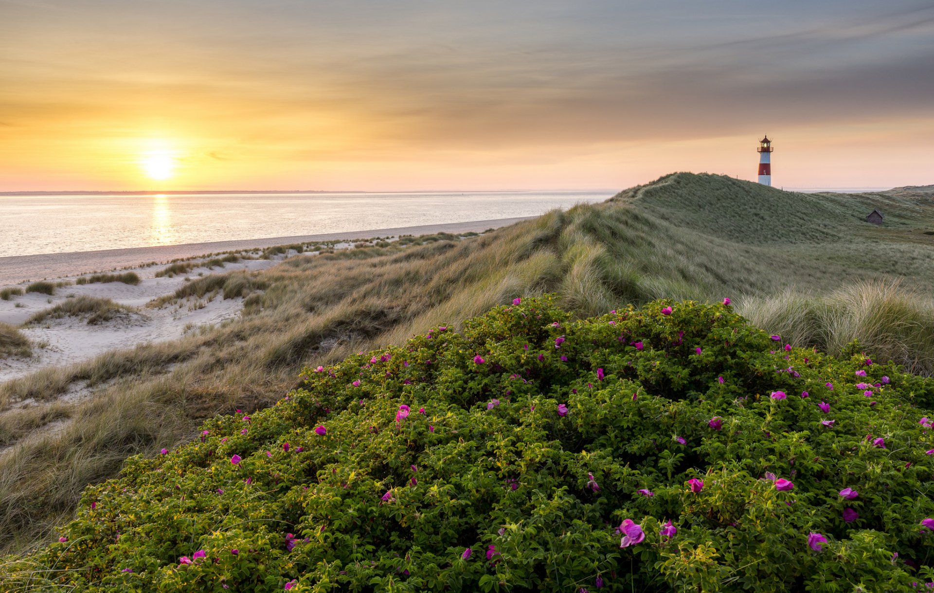 mer plage phare matin lever du soleil été fleurs