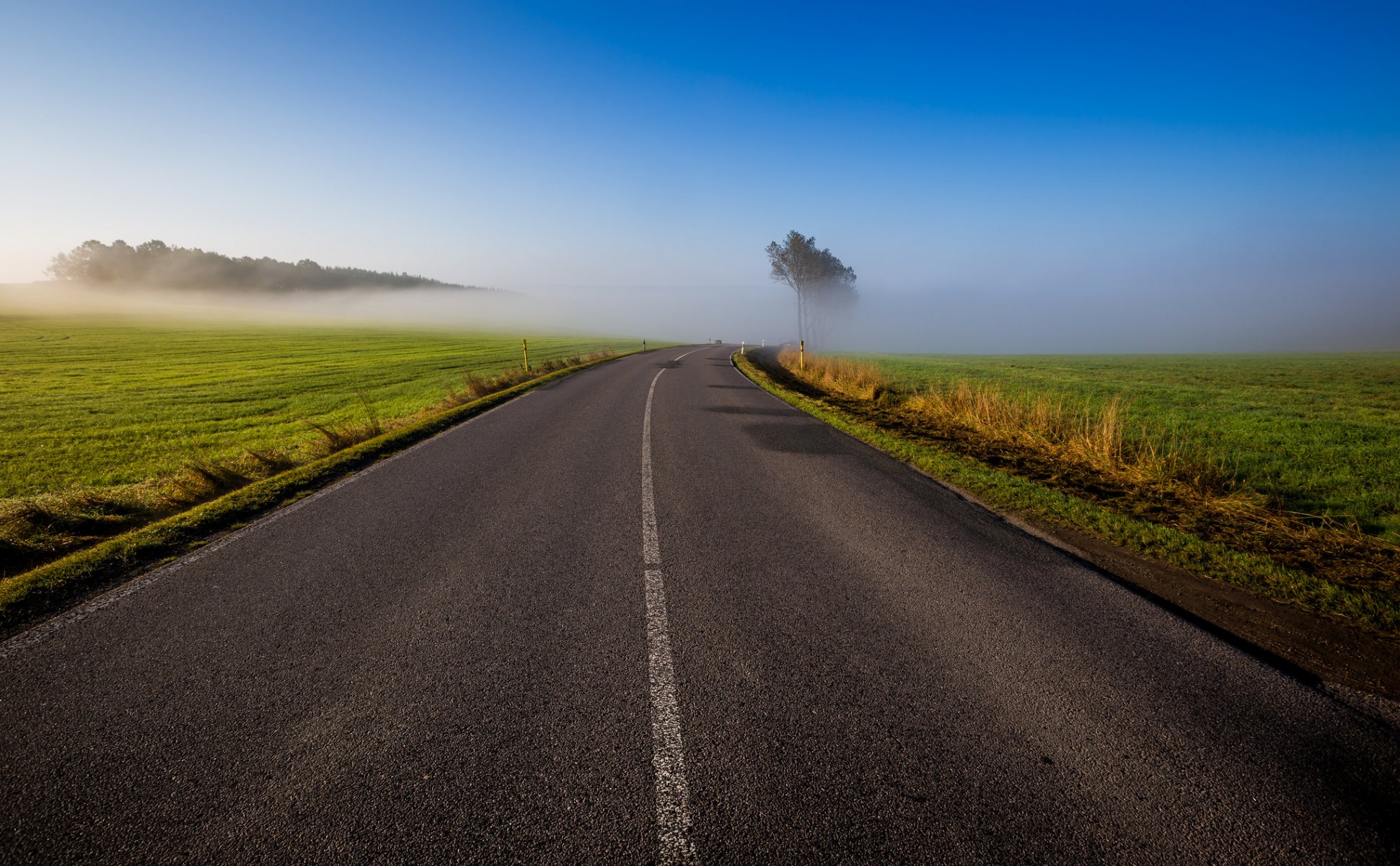 cielo mañana camino campo árboles hierba niebla