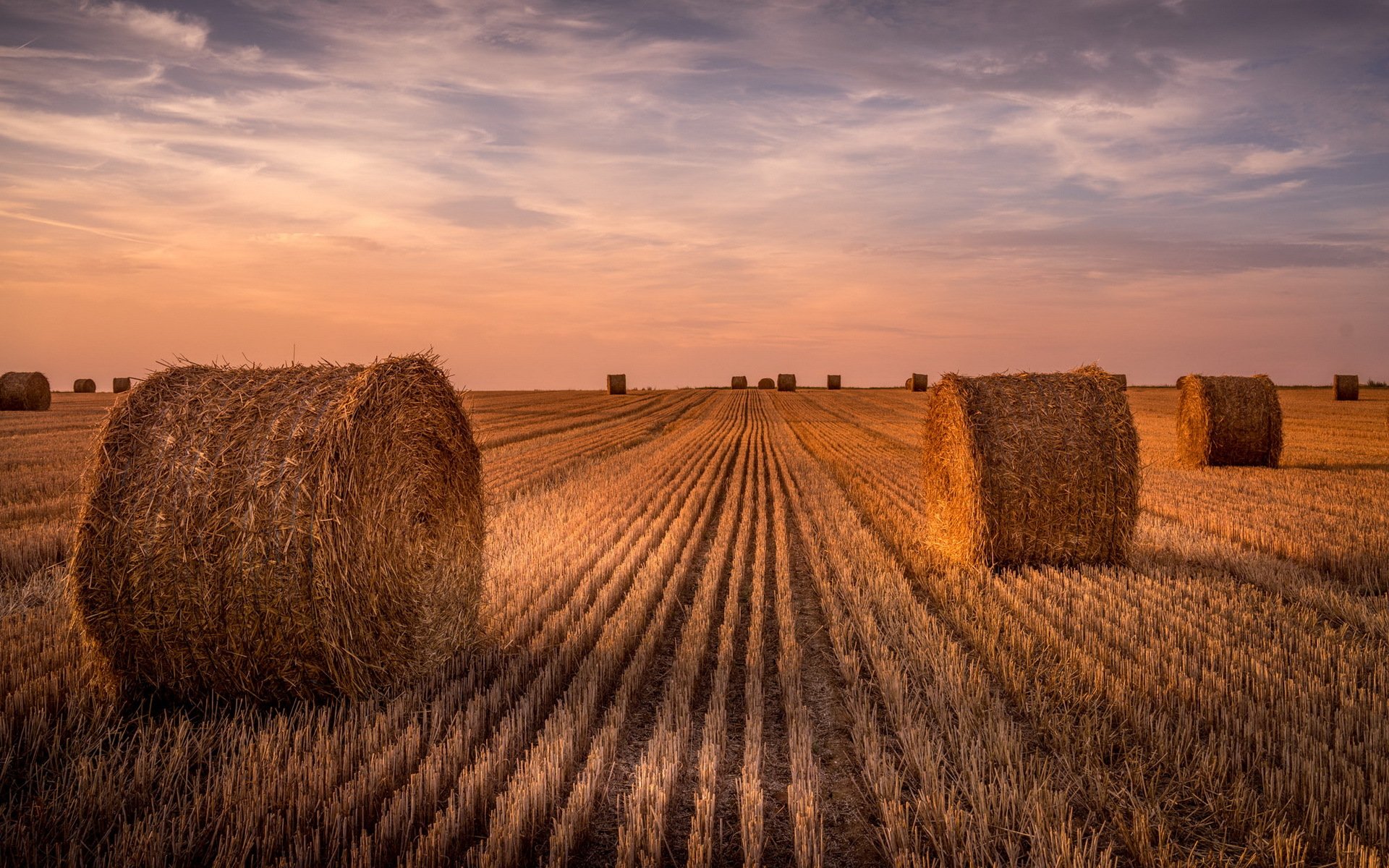 the field hay summer landscape