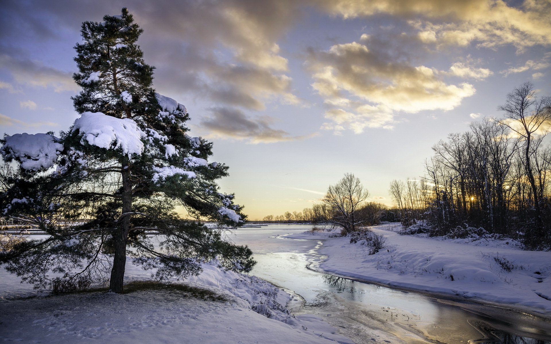 rivière arbre neige