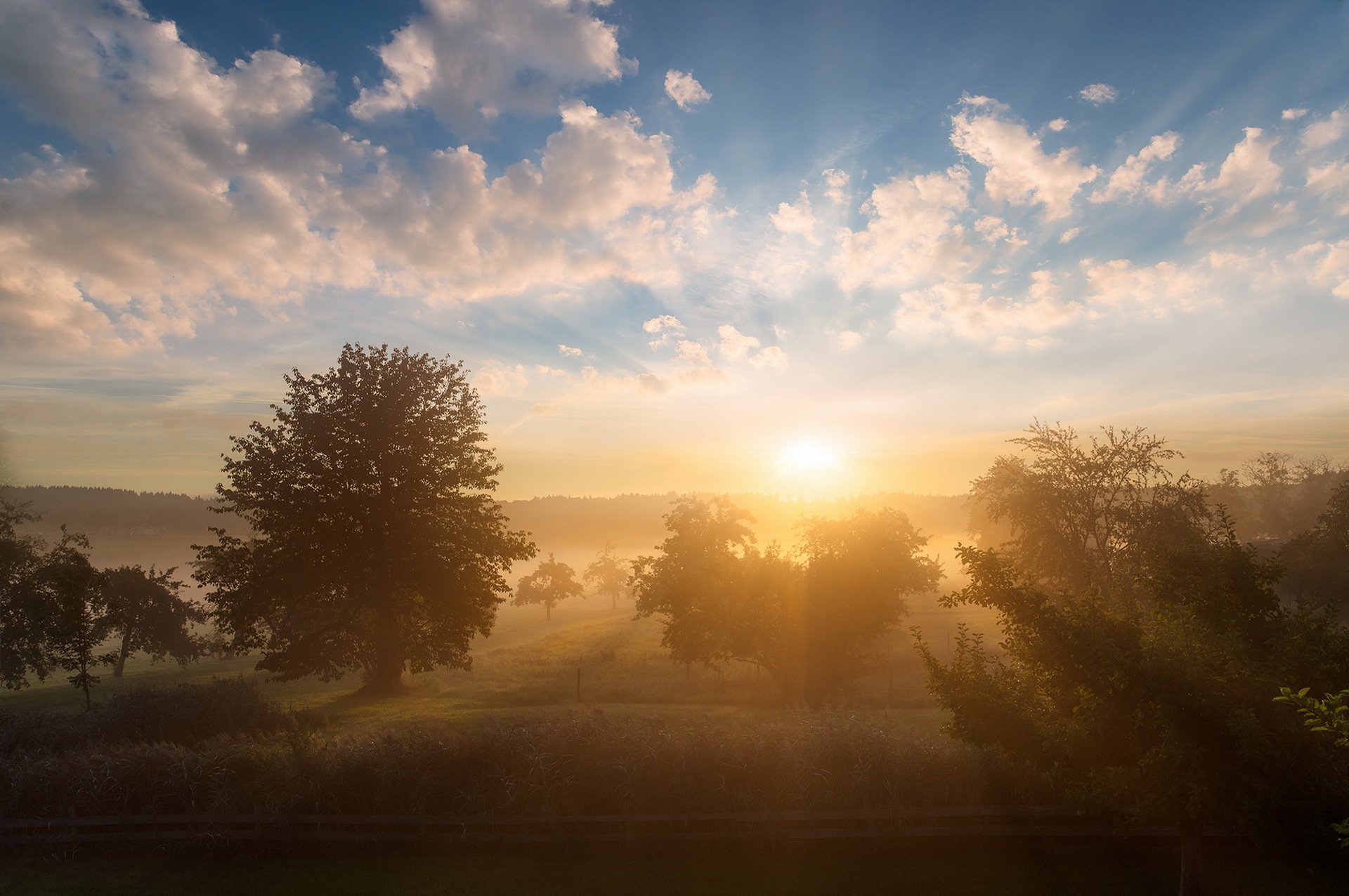 matin brouillard nature paysage