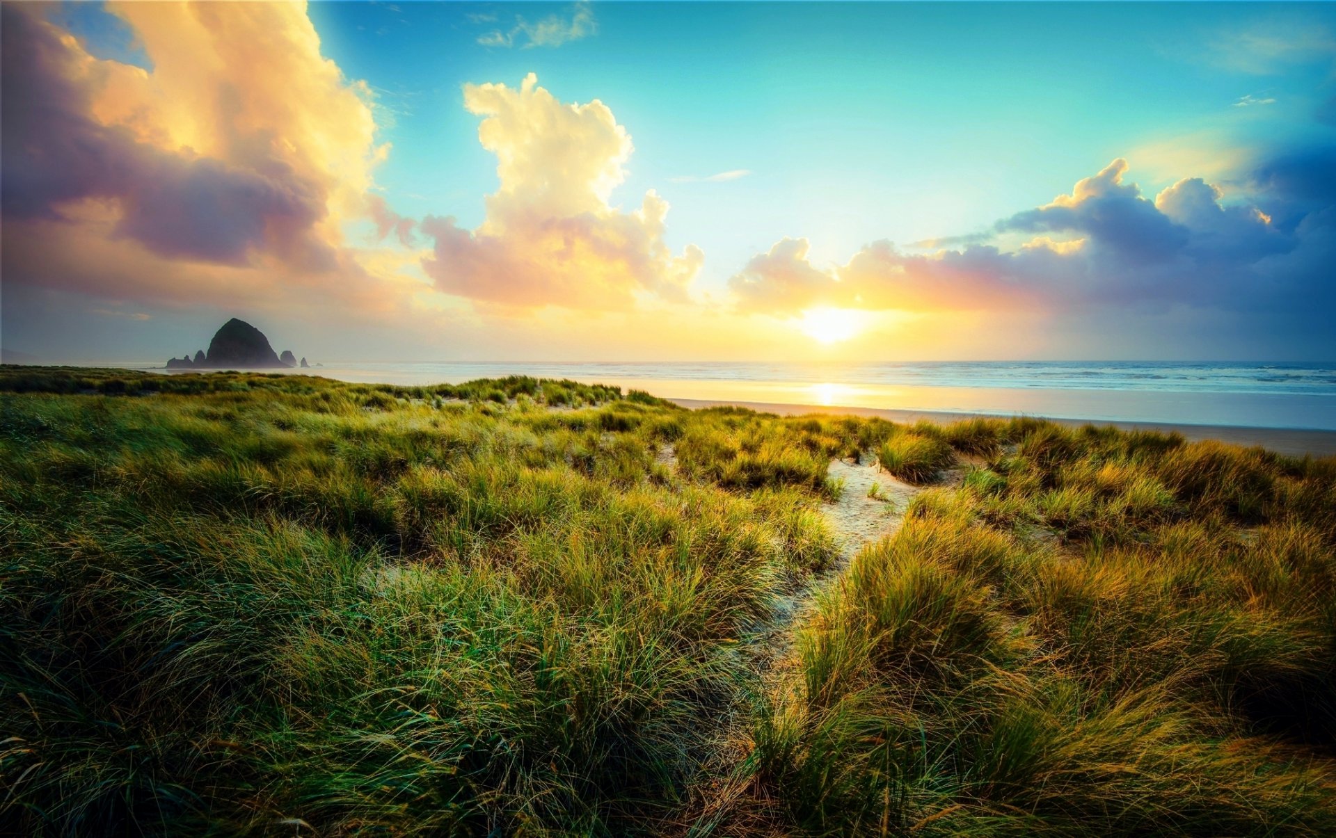 grass bush beach sea sky clouds sun