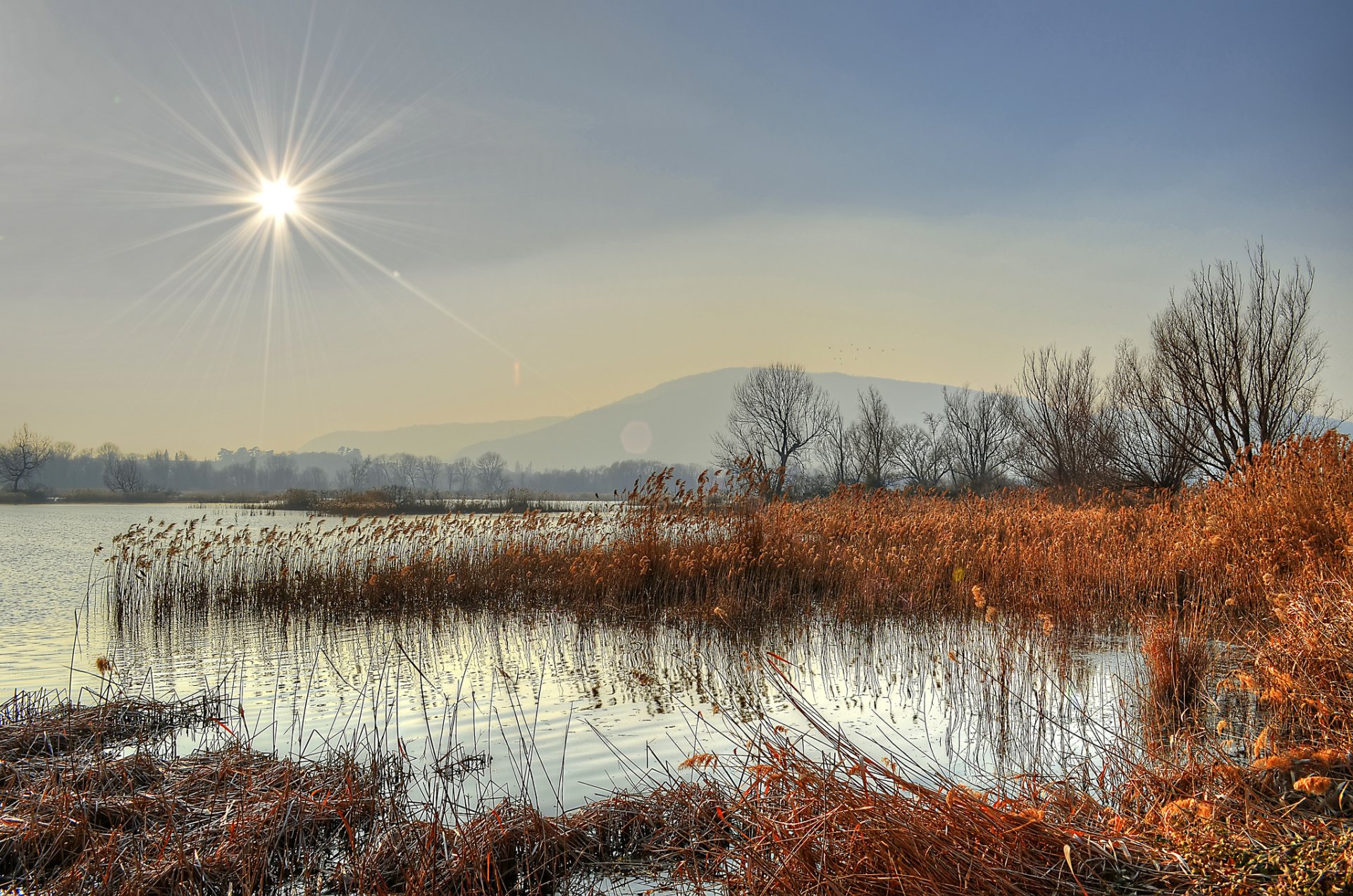 berge see wald schilf sonne strahlen spätherbst