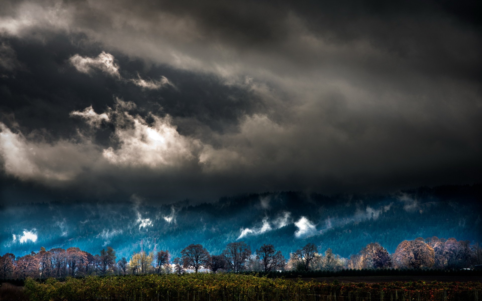 fallsauvie island portland oregon landscape