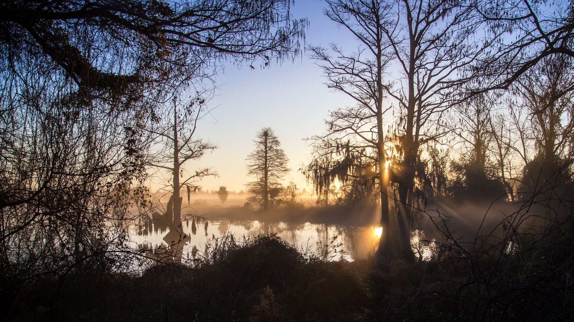 morning lake fog landscape