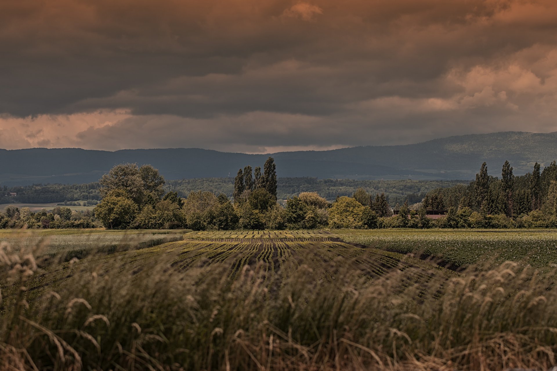 felder bäume berge