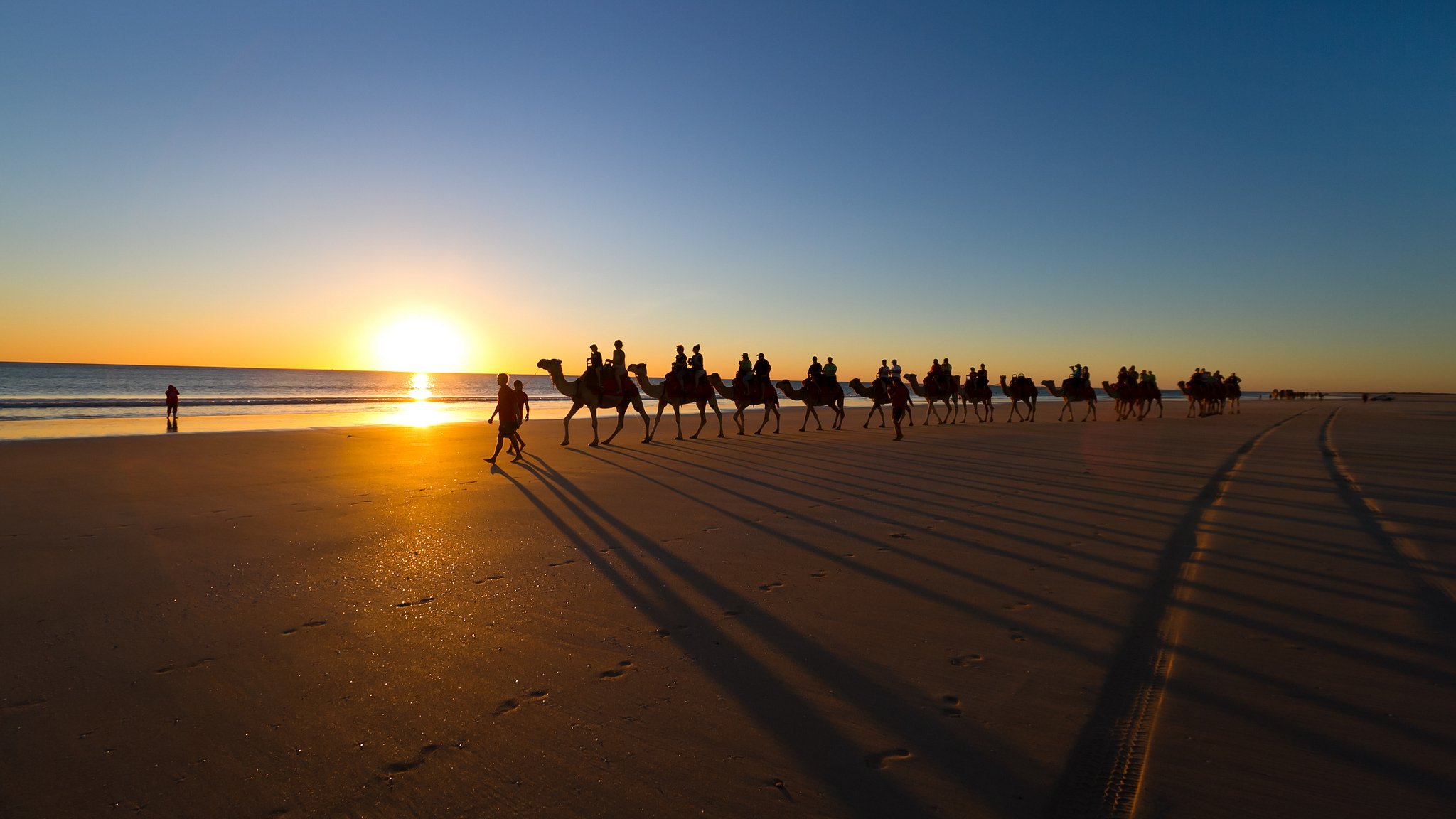 meer kamele strand landschaft