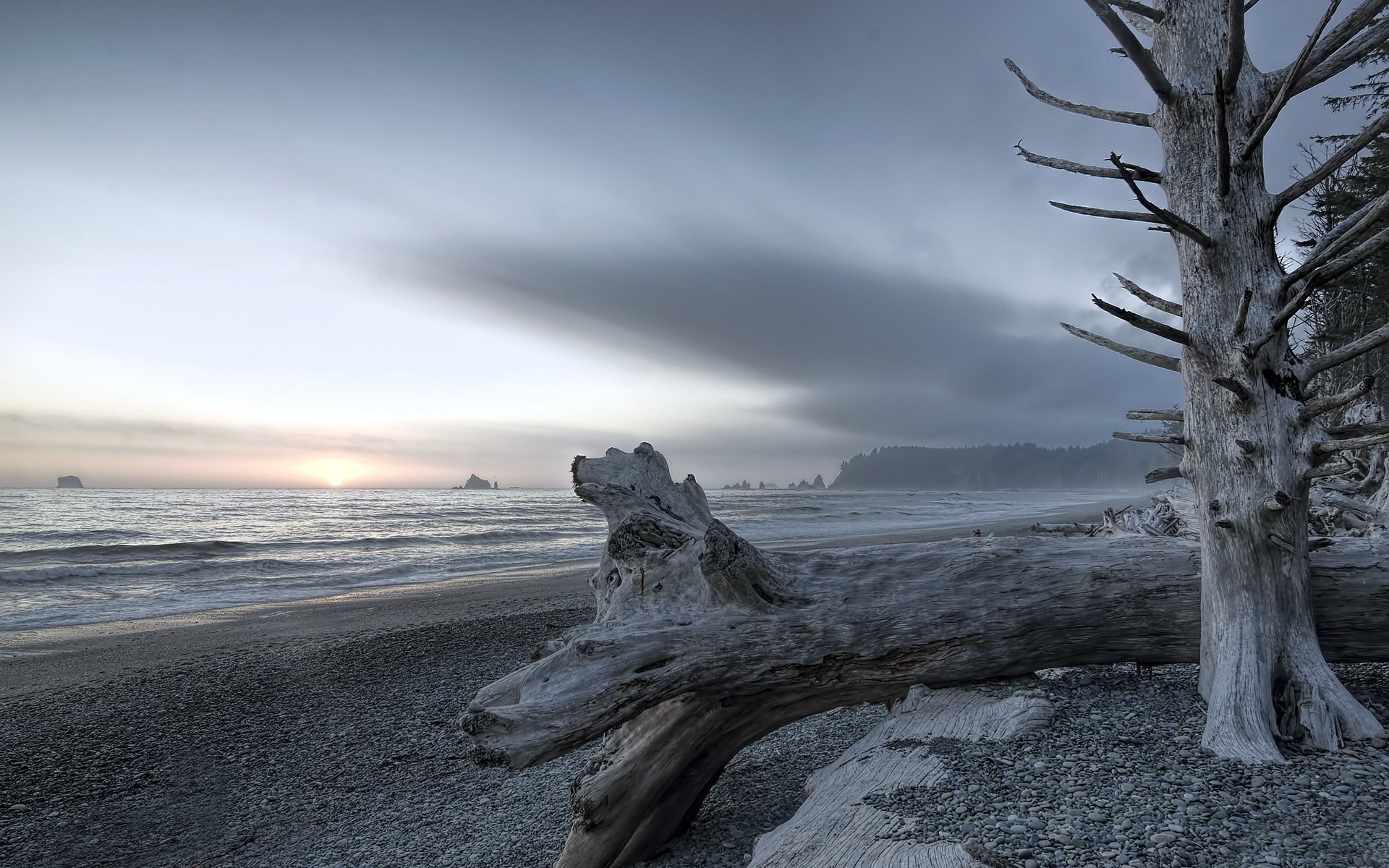 plage du rialto parc national olympique paysage